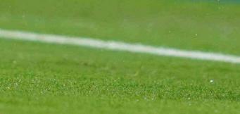 Subbuteo
