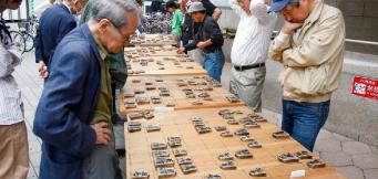 Shogi juego de mesa